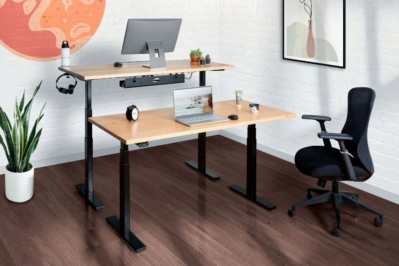 Balanced workspace showing computer with natural lighting and ergonomic setup
